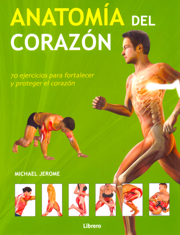 ANATOMÍA DEL CORAZÓN